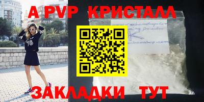 apvp Можга