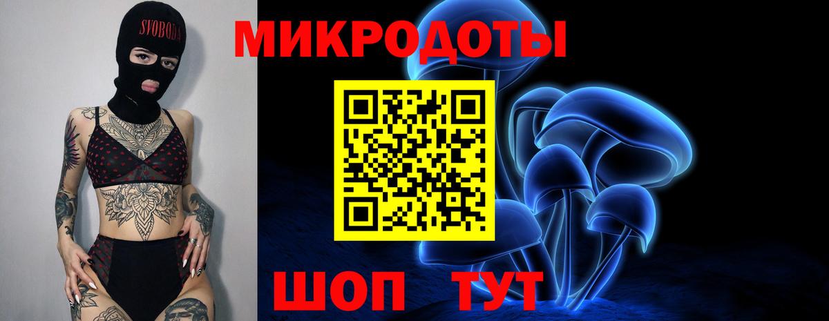 Новозыбков  Галлюциногенные грибы Magic Shrooms  Вход с VPN 